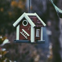 Décryptage de l'assurance prêt immobilier : vos clés